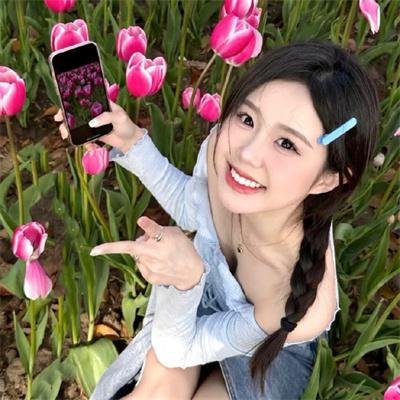 哈里·蒙特